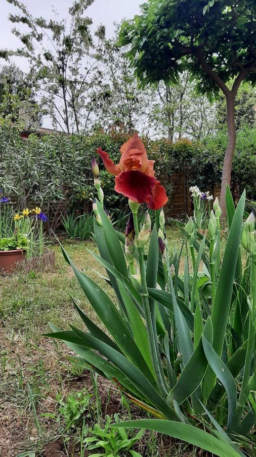 Maison Lumineuse Et Spacieuse Avec Jardin Arbore La Valette-du-Var Εξωτερικό φωτογραφία