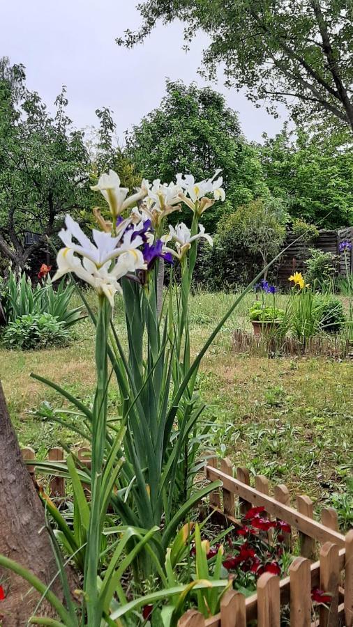 Maison Lumineuse Et Spacieuse Avec Jardin Arbore La Valette-du-Var Εξωτερικό φωτογραφία
